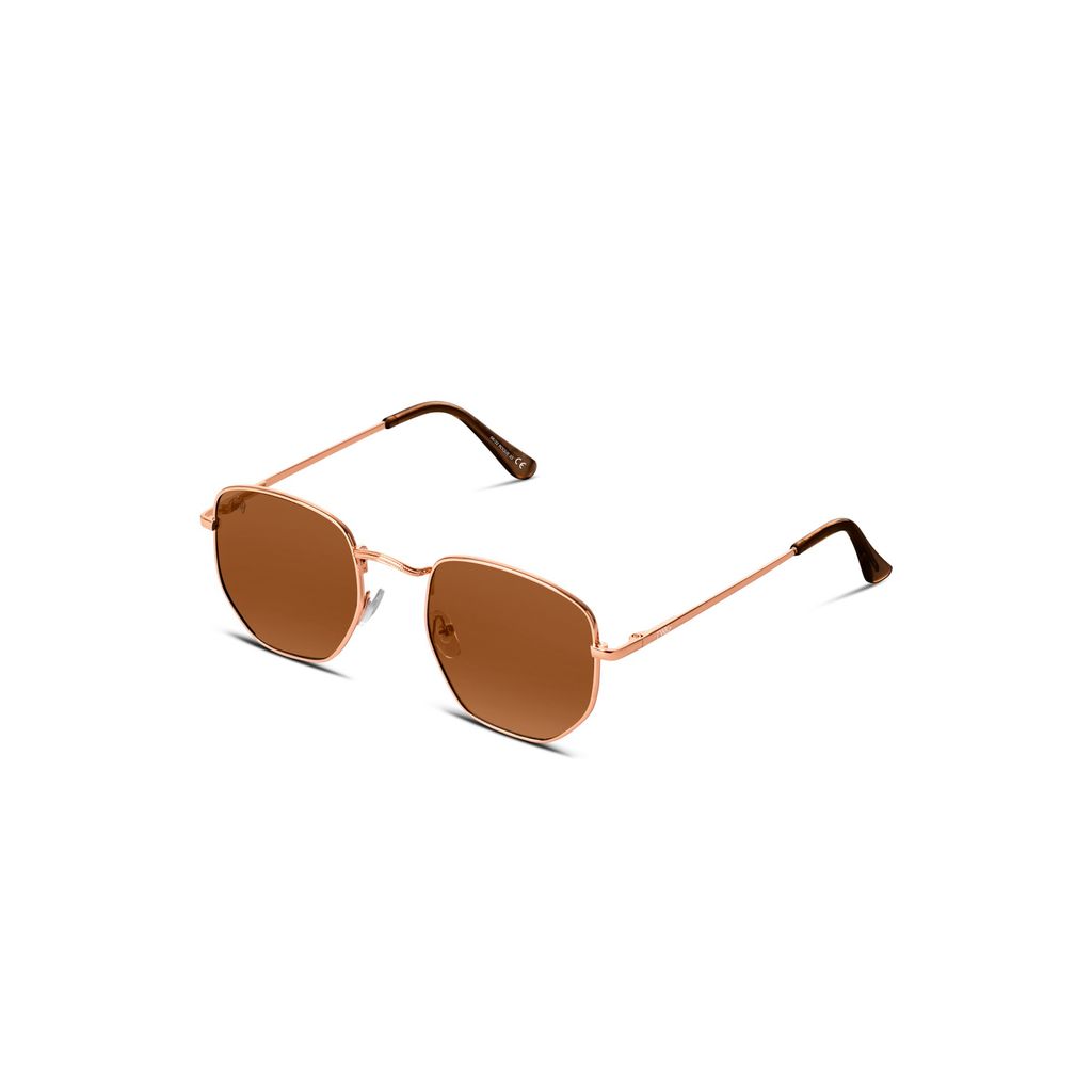 Twig - Sunglasses Brown Unisex Roque_ROQ03 -1 | BDroppy